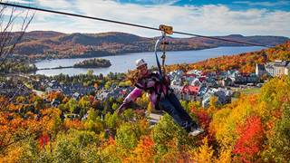 Ziptrek Écotours