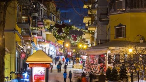 Pedestrian village