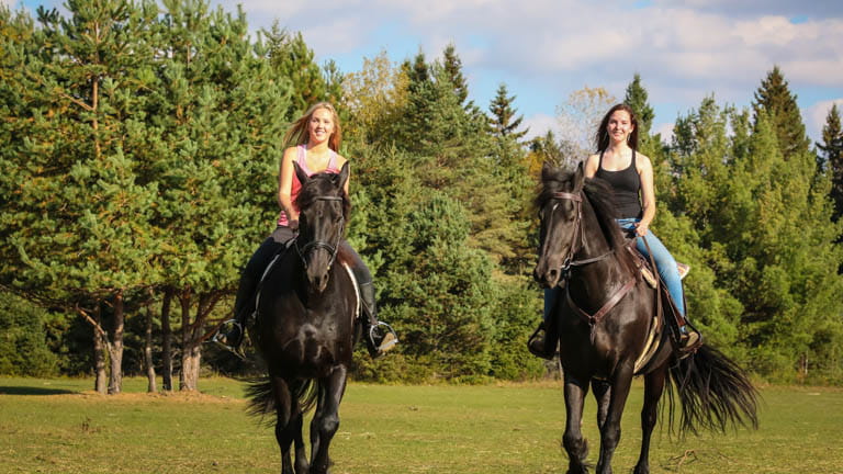 Horseback Riding Excursions For Beginner Or Advanced