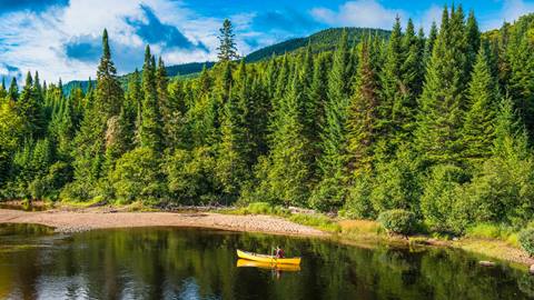 Canoeing in Parc National du Mont-Tremblant