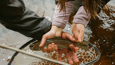 Découverte pêche à la mouche