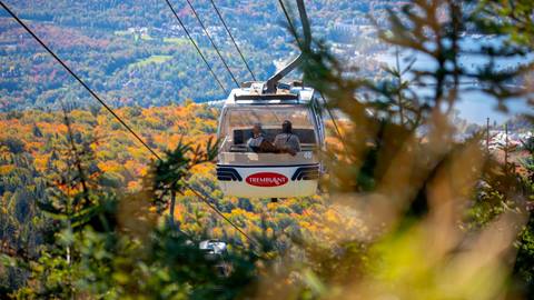 Panoramic Gondola