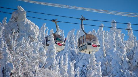 Panoramic Gondola