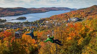 Ziptrek Écotours