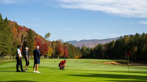 Groupes et tournois de golf