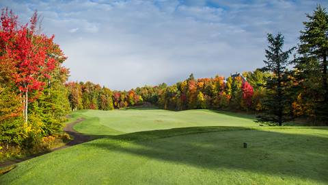 Green Fees